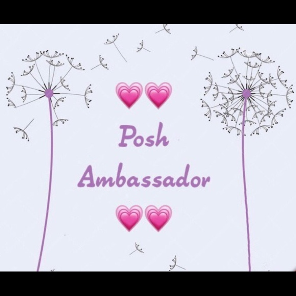 Posh Ambassador